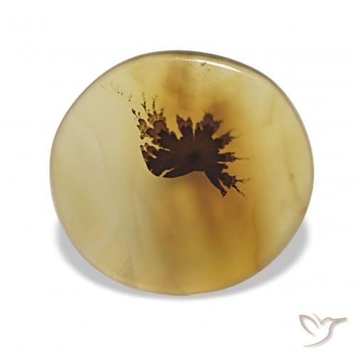 3.38 ct Multicolor Dendritic Agate Gemstone, Dendritic Agate Gem in Oval Cabochon Shape for Sale.