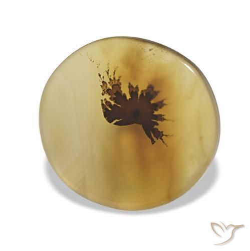3.38 ct Multicolor Dendritic Agate Stone, Natural Dendritic Agate in Oval Cabochon Shape for Sale