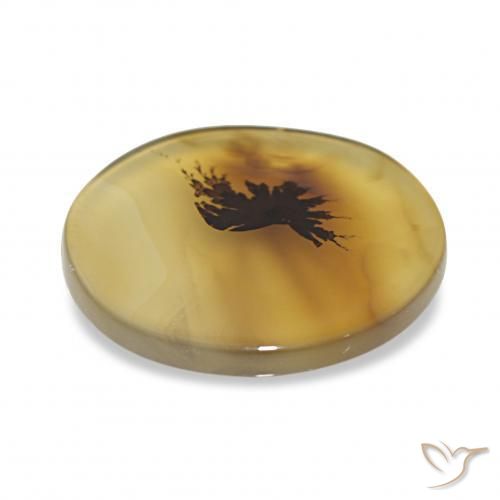 Dendritic Agate Gemstone in 14.7 x 13.8 mm Size for Sale, Dendritic Agate Stone in Multicolor Color
