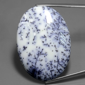 53.63 ct Multicolor Dendritic Chalcedony Gemstone, Dendritic Chalcedony Gem in Oval Cabochon Shape for Sale.