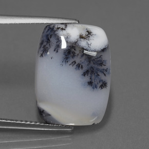 11.56 ct Multicolor Dendritic Chalcedony Gemstone, Dendritic Chalcedony Gem in Cushion Cabochon Shape for Sale.