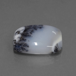 11.56 ct Multicolor Dendritic Chalcedony Stone, Natural Dendritic Chalcedony in Cushion Cabochon Shape for Sale