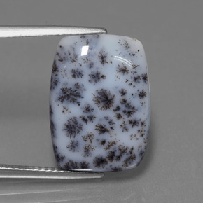 8.39 ct Multicolor Dendritic Chalcedony Gemstone, Dendritic Chalcedony Gem in Cushion Cabochon Shape for Sale.