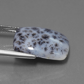 Dendritic Chalcedony Gemstone in 17.9 x 13.2 mm Size for Sale, Dendritic Chalcedony Stone in Multicolor Color