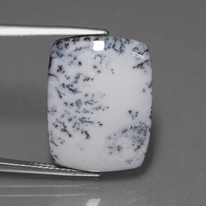 11.33 ct Multicolor Dendritic Chalcedony Gemstone, Dendritic Chalcedony Gem in Cushion Cabochon Shape for Sale.