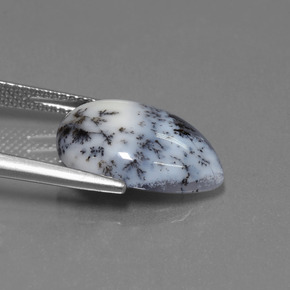 Dendritic Chalcedony Gemstone in 16.4 x 12.4 mm Size for Sale, Dendritic Chalcedony Stone in Multicolor Color