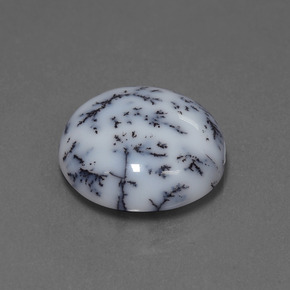 9.76 ct Multicolor Dendritic Chalcedony Stone, Natural Dendritic Chalcedony in Round Cabochon Shape for Sale