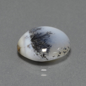 7.74 ct Multicolor Dendritic Chalcedony Stone, Natural Dendritic Chalcedony in Round Cabochon Shape for Sale