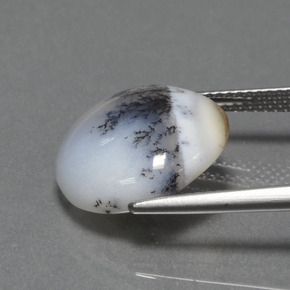 Dendritic Chalcedony Gemstone in 15.2 mm Size for Sale, Dendritic Chalcedony Stone in Multicolor Color