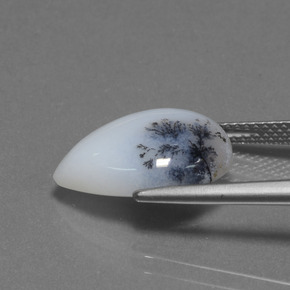 Dendritic Chalcedony Gemstone in 16.1 x 12.5 mm Size for Sale, Dendritic Chalcedony Stone in Multicolor Color