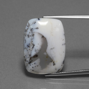 10.32 ct Multicolor Dendritic Chalcedony Gemstone, Dendritic Chalcedony Gem in Cushion Cabochon Shape for Sale.