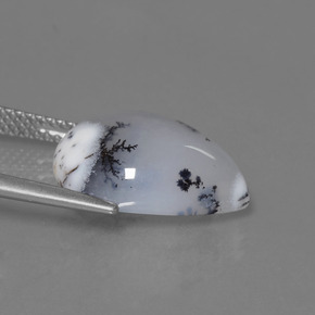 Dendritic Chalcedony Gemstone in 15.9 x 12.2 mm Size for Sale, Dendritic Chalcedony Stone in Multicolor Color