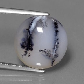 11.38 ct Multicolor Dendritic Chalcedony Gemstone, Dendritic Chalcedony Gem in Round Cabochon Shape for Sale.