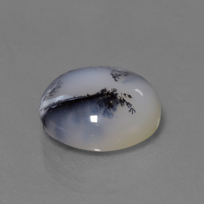 11.38 ct Multicolor Dendritic Chalcedony Stone, Natural Dendritic Chalcedony in Round Cabochon Shape for Sale