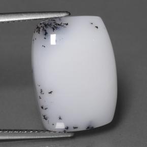 10.95 ct Multicolor Dendritic Chalcedony Gemstone, Dendritic Chalcedony Gem in Cushion Cabochon Shape for Sale.