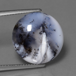 9.98 ct Multicolor Dendritic Chalcedony Gemstone, Dendritic Chalcedony Gem in Round Cabochon Shape for Sale.