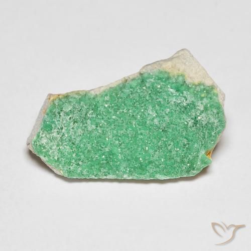 6.19ct Natural Clover Green Druzy Variscite, Fancy, Opaque