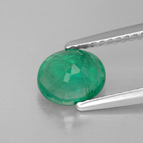 Emerald Gemstone in 7 x 5.8 mm Size for Sale, Emerald Stone in Green Color