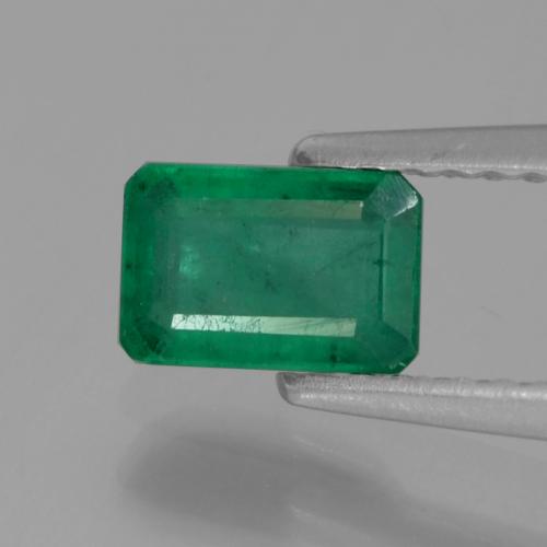 Warm Green エメラルド 宝石 - 0.6ct 八角形ファセット (ID: 291393)