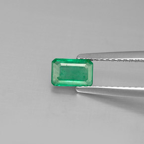0.46 ct Green Emerald Gemstone, Emerald Gem in Octagon Facet Shape for Sale.