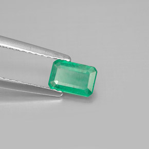 0.47 ct Green Emerald Stone, Natural Emerald in Octagon Facet Shape for Sale