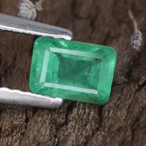 0.7ct Octagon Step Cut Green Emerald Gem for sale 0.7ct Octagon Step Cut Green Emerald Gem (ID: 315501)