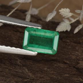 0.59 ct Green Emerald Gemstone, Emerald Gem in Octagon Step Cut Shape for Sale.