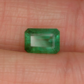 0.84 ct Green Emerald Stone, Natural Emerald in Octagon Facet Shape for Sale