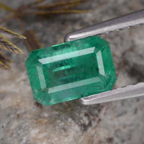 0.8ct Octagon Step Cut Green Emerald Gem for sale 0.8ct Octagon Step Cut Green Emerald Gem (ID: 323632)