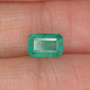 0.61 ct Green Emerald Stone, Natural Emerald in Octagon Facet Shape for Sale