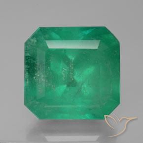 28.80ct Natural Forest Green Emerald, Emerald Cut, SI