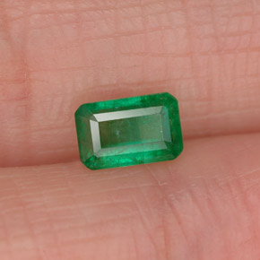 0.50 ct Green Emerald Stone, Natural Emerald in Octagon Facet Shape for Sale