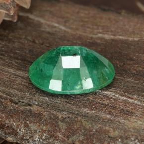 Emerald Gemstone in 8 x 6 mm (calibrated) Size for Sale, Emerald Stone in Warm Green Color