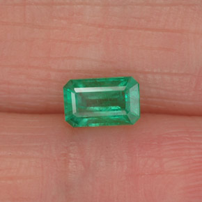 0.46 ct Green Emerald Gemstone, Emerald Gem in Octagon Facet Shape for Sale.