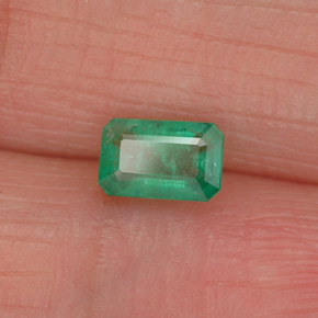 0.50 ct Green Emerald Stone, Natural Emerald in Octagon Facet Shape for Sale