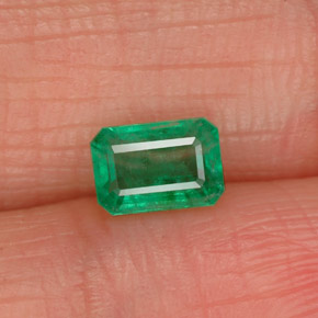0.55 ct Green Emerald Gemstone, Emerald Gem in Octagon Facet Shape for Sale.