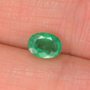 濃いグリーン エメラルド 宝石 - 0.6ct オーバル ファセット (ID: 371913)