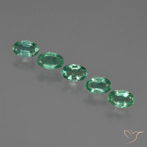 Lot de 5pc Émeraudes Vert Ovale de Zambie - Taille 5,1 x 3,3mm, poids total 1,15 ct / moyenne 0,23 ct chaque, couleur : Bleu vert, dureté de Mohs 7.5 à 8 convient aux bijoux de tous les jours, pierre de sagesse, Débloque le chakra du cœur, Photo A