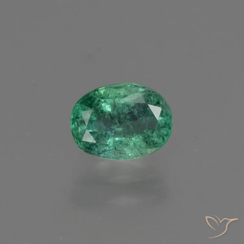 Émeraude Vert oval facet 0,87 ct de Zambie, dimension 6,8 x 5,1mm, pierre gemme naturelle huilé, pureté si, 1 pièce Émeraude de couleur Vert bleuâtre, dureté Mohs de 7.5 à 8 convient aux bijoux de tous les jours, pierre de sagesse, Pierre de l'amour réussi, Photo A