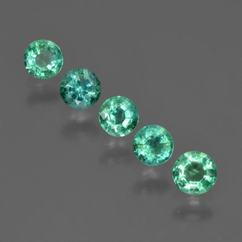 Vert frais Émeraude gemme - 0.2ct Facette ronde (ID: 412267)