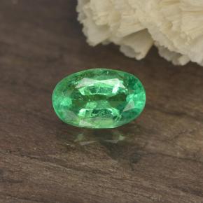 0.4ct Oval Facet Green Emerald for sale thumb image of 0.4ct Oval Facet Green Emerald (ID: 498668)