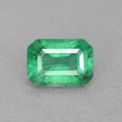 0.7ct Octagon Step Cut Green Emerald Gem for sale 0.7ct Octagon Step Cut Green Emerald Gem (ID: 498681)