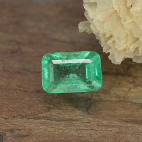 鮮やかなグリーン エメラルド 宝石 - 0.5ct 八角形ステップカット (ID: 498683)