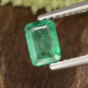 Medium Green Изумруд Камень - 0.5ct Восьмиугольная ступенчатая огранка (ID: 498685)