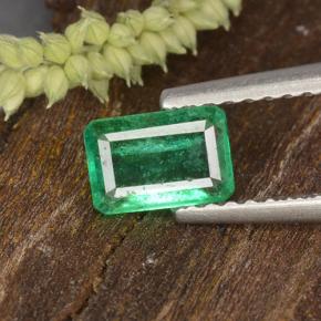 ジェイドグリーン エメラルド 宝石 - 0.6ct 八角形ステップカット (ID: 498688)