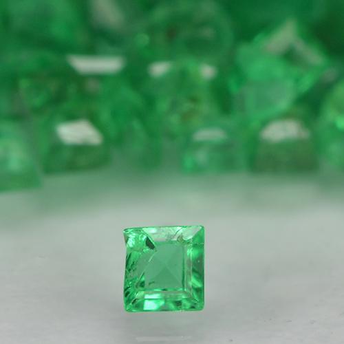 Shamrock Green Emerald Gem - 0ct Square Facet (ID: 500496)