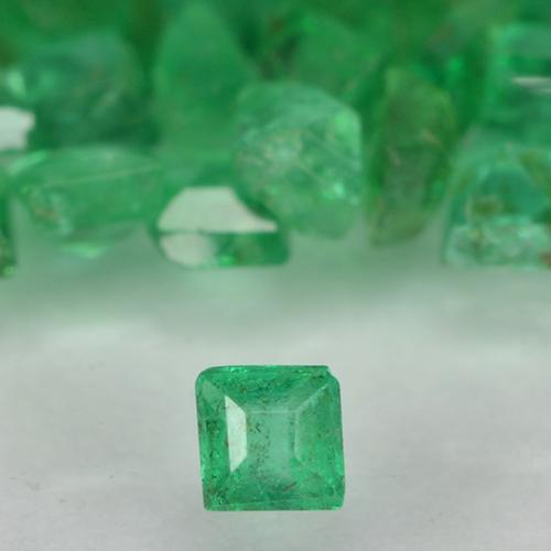 Warm Green Emerald Gem - 0ct Square Facet (ID: 500501)