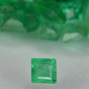 Medium Green Emerald Gem - 0ct Square Step-Cut (ID: 500619)