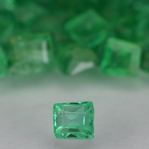 Warm Green Emerald Gem - 0ct Square Facet (ID: 500625)