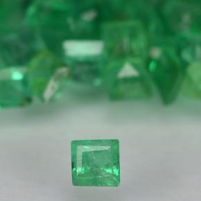 0ct Square Step-Cut Green Emerald Gem for sale 0ct Square Step-Cut Green Emerald Gem (ID: 500626)